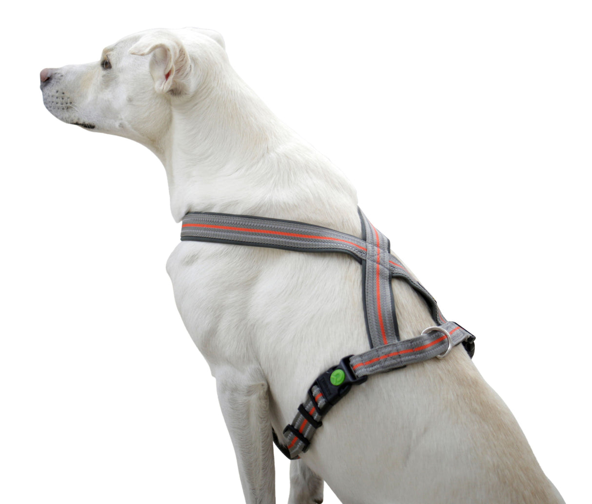 Kerbl Artikel 80679 im Online Shop kaufen