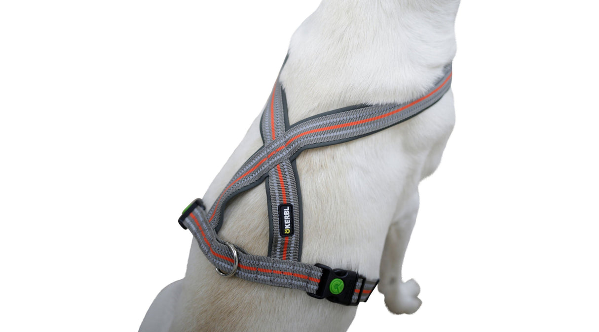 Kerbl Artikel 80679 im Online Shop kaufen