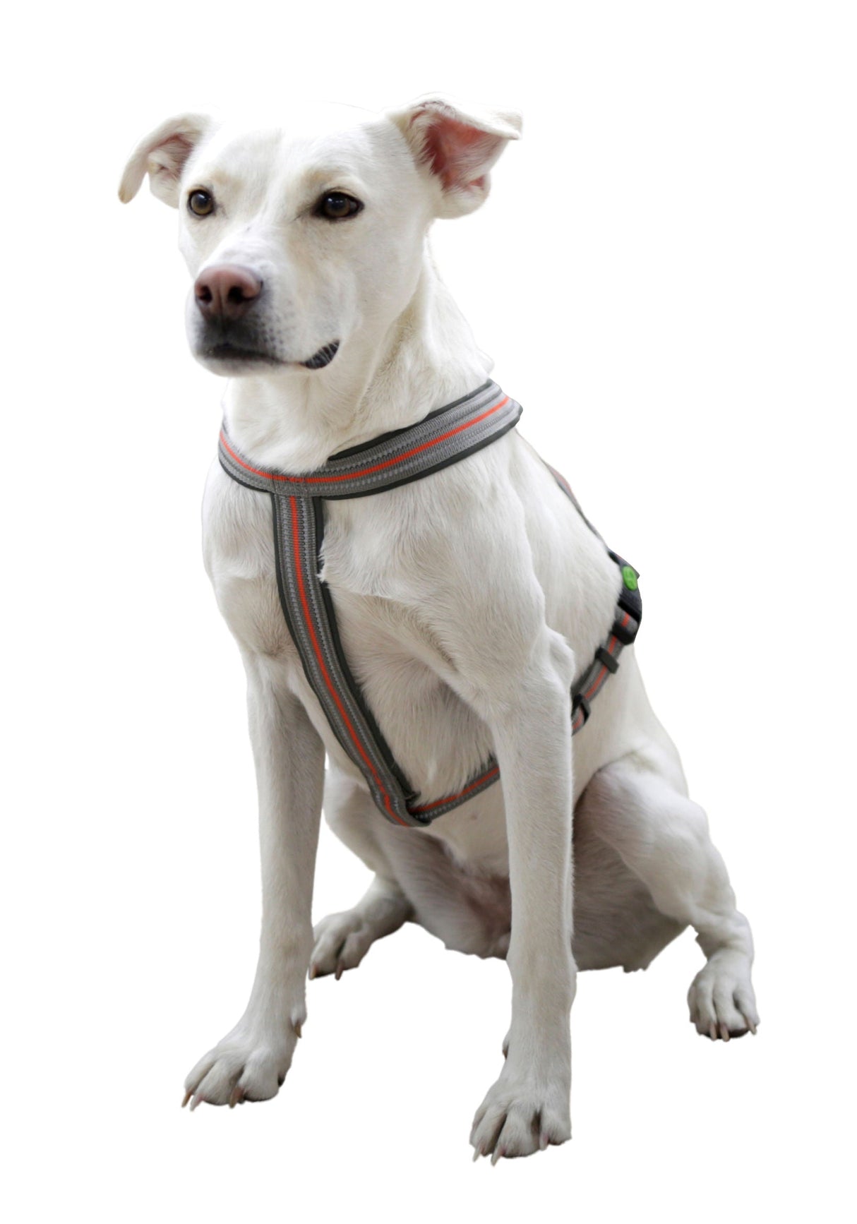 Kerbl Artikel 80679 im Online Shop kaufen