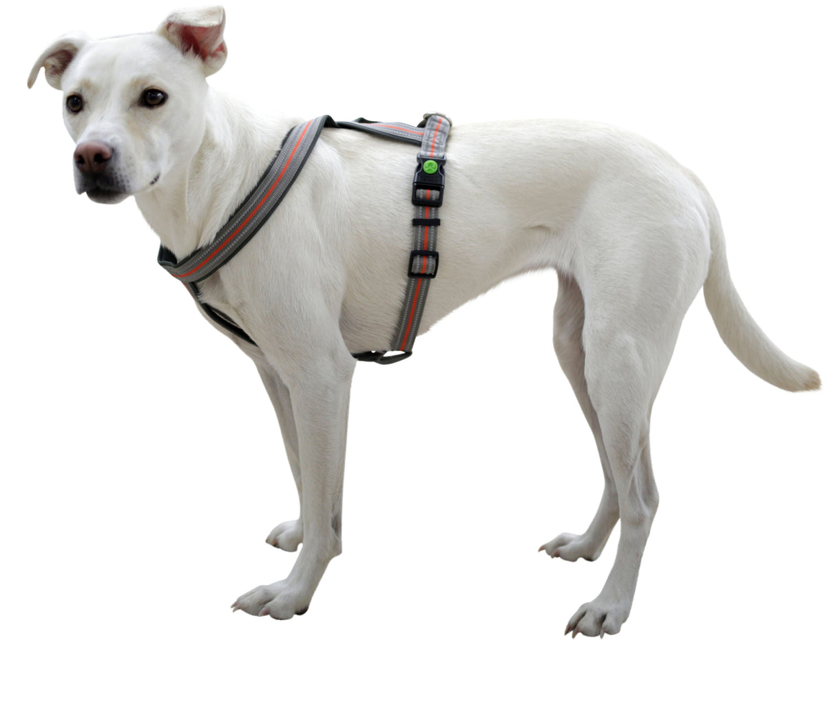 Kerbl Artikel 80679 im Online Shop kaufen