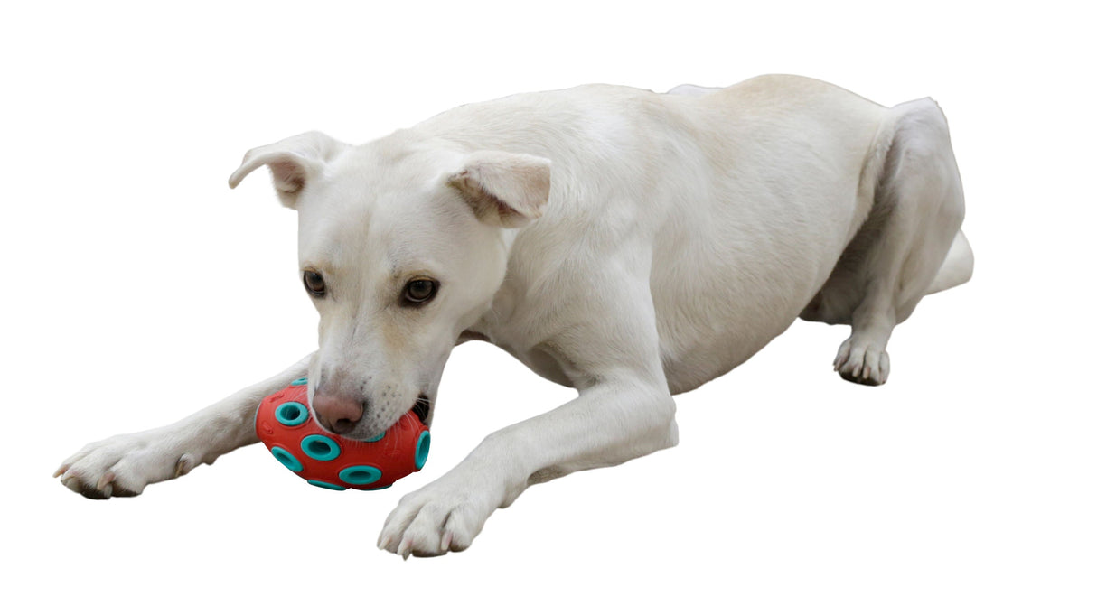 Kerbl Artikel 80985 im Online Shop kaufen