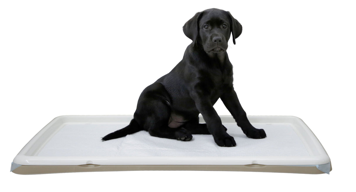 Kerbl Artikel 80543 im Online Shop kaufen