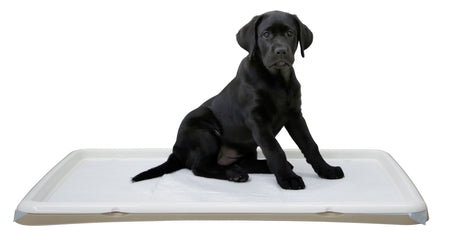 Kerbl Artikel 80543 im Online Shop kaufen