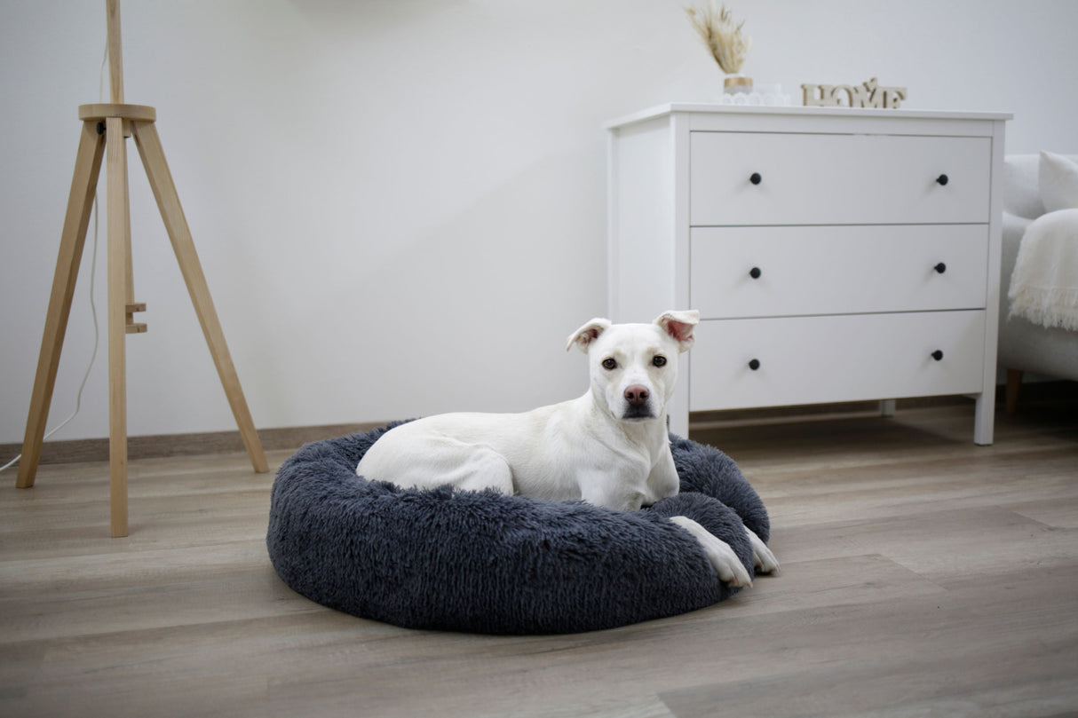 Kerbl Artikel 80409 im Online Shop kaufen