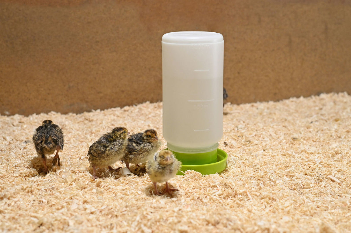 Kerbl Kunststoff Küken-/Wachtel tränke 1ltr. 1 Stück 73136
