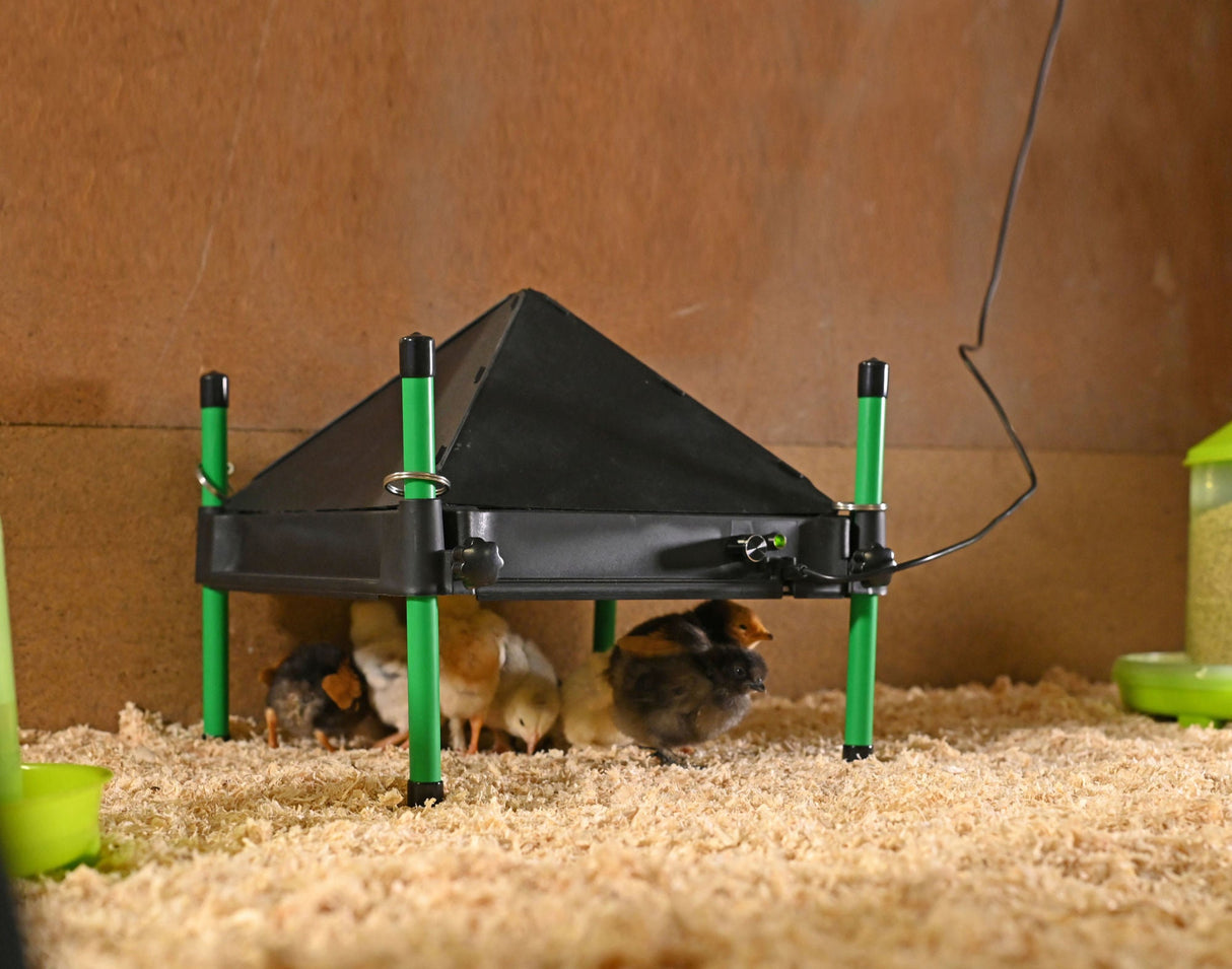 Kerbl Schutzabdeckung für Wärmeplatte CosyHeat 30x30 (passend für 70420) 70422