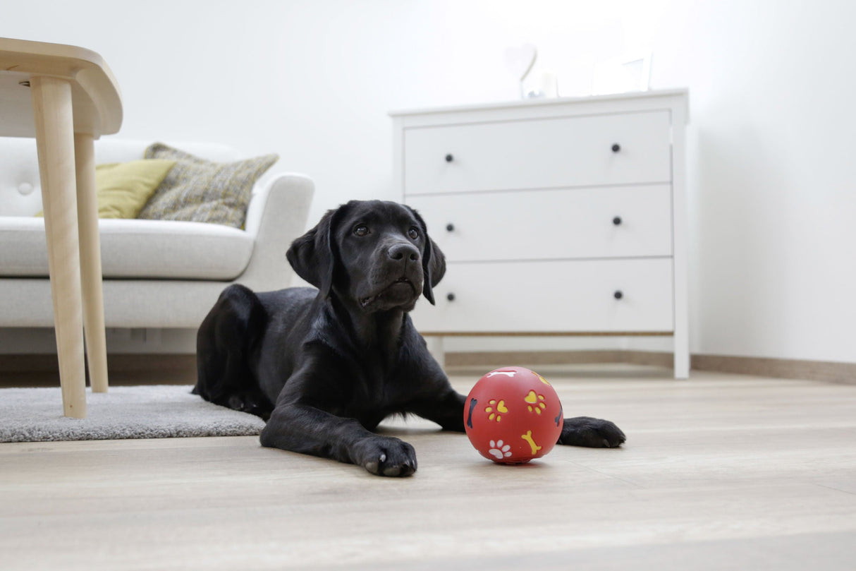 Kerbl Artikel 84789 im Online Shop kaufen