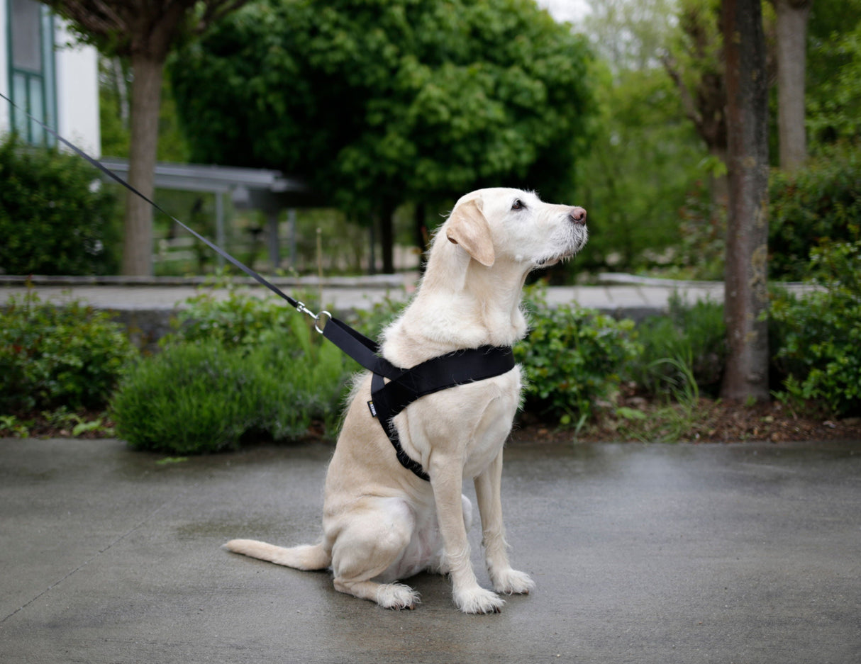 Kerbl Artikel 83940 im Online Shop kaufen