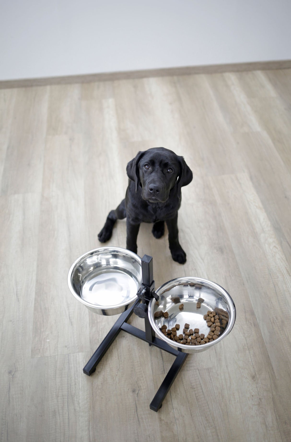 Kerbl Artikel 82258 im Online Shop kaufen