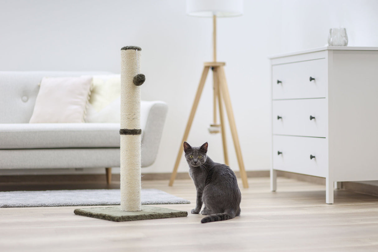 Kerbl Artikel 84469 im Online Shop kaufen