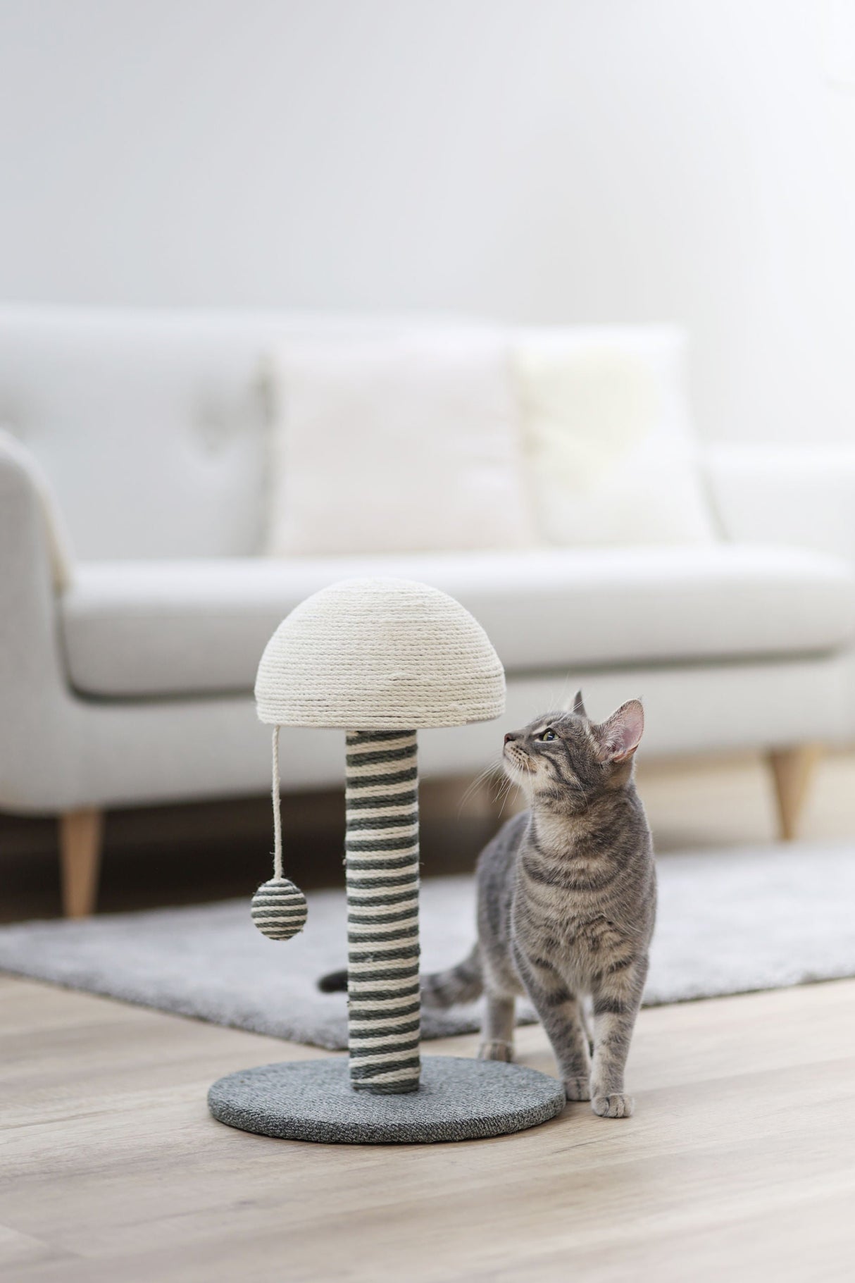 Kerbl Artikel 81626 im Online Shop kaufen