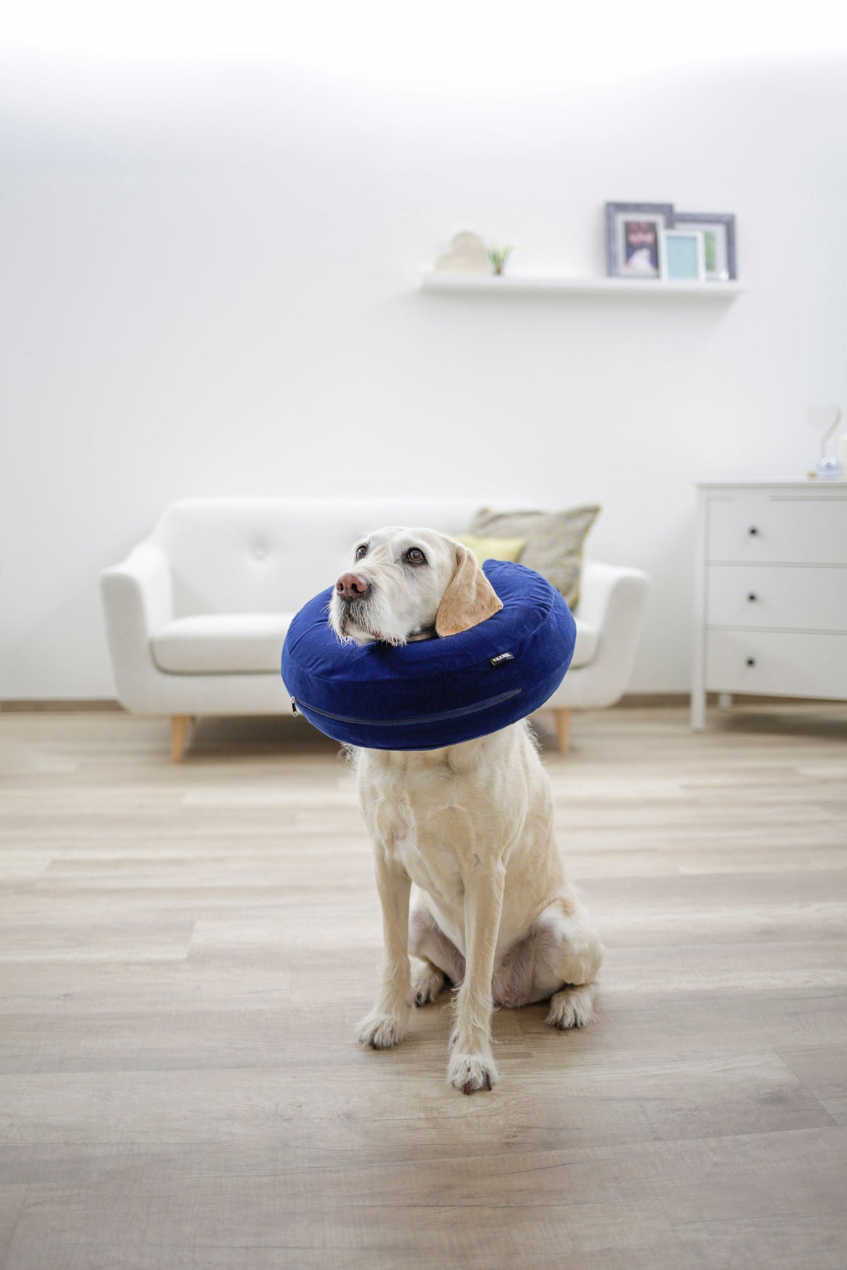 Kerbl Artikel 80834 im Online Shop kaufen