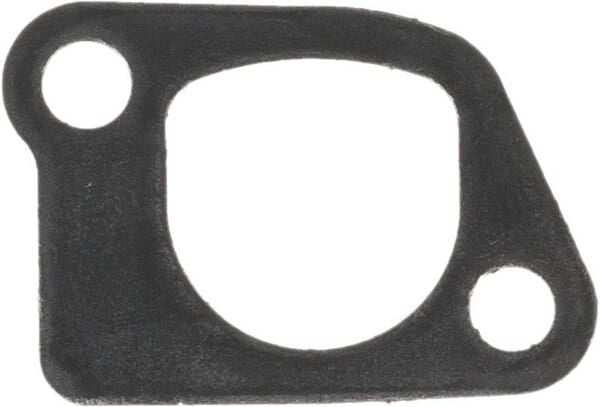 Honda Dichtung 17151Z6L010