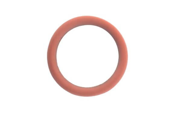 FPT Industrial O-Ring - 1 Stück - 17288681FPT