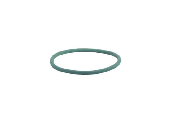 FPT Industrial O-Ring Wasserpumpe - 1 Stück - 17290081FPT