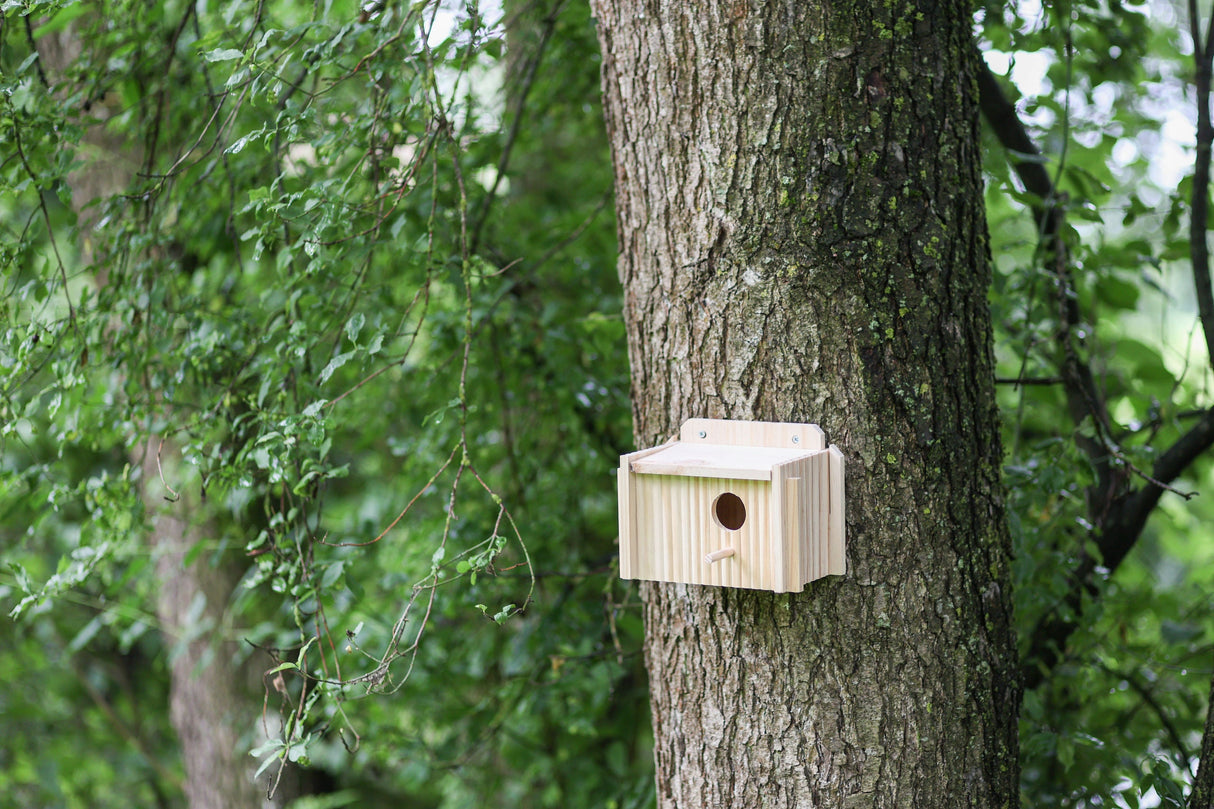 Kerbl Artikel 82955 im Online Shop kaufen