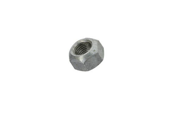 FPT Industrial Mutter - 1 Stück - 17309031FPT
