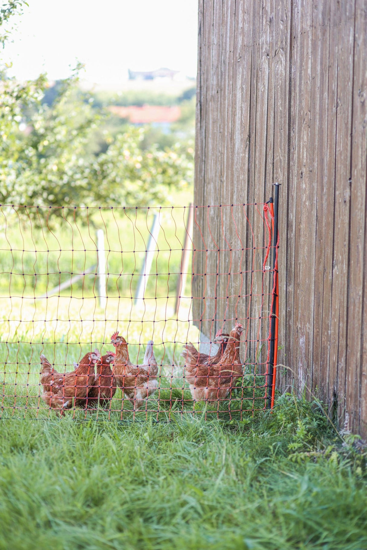 Kerbl Unterstützungspfahl für Weide- netze, 145cm, Ø14mm,verzinkt 1 Stück 27350
