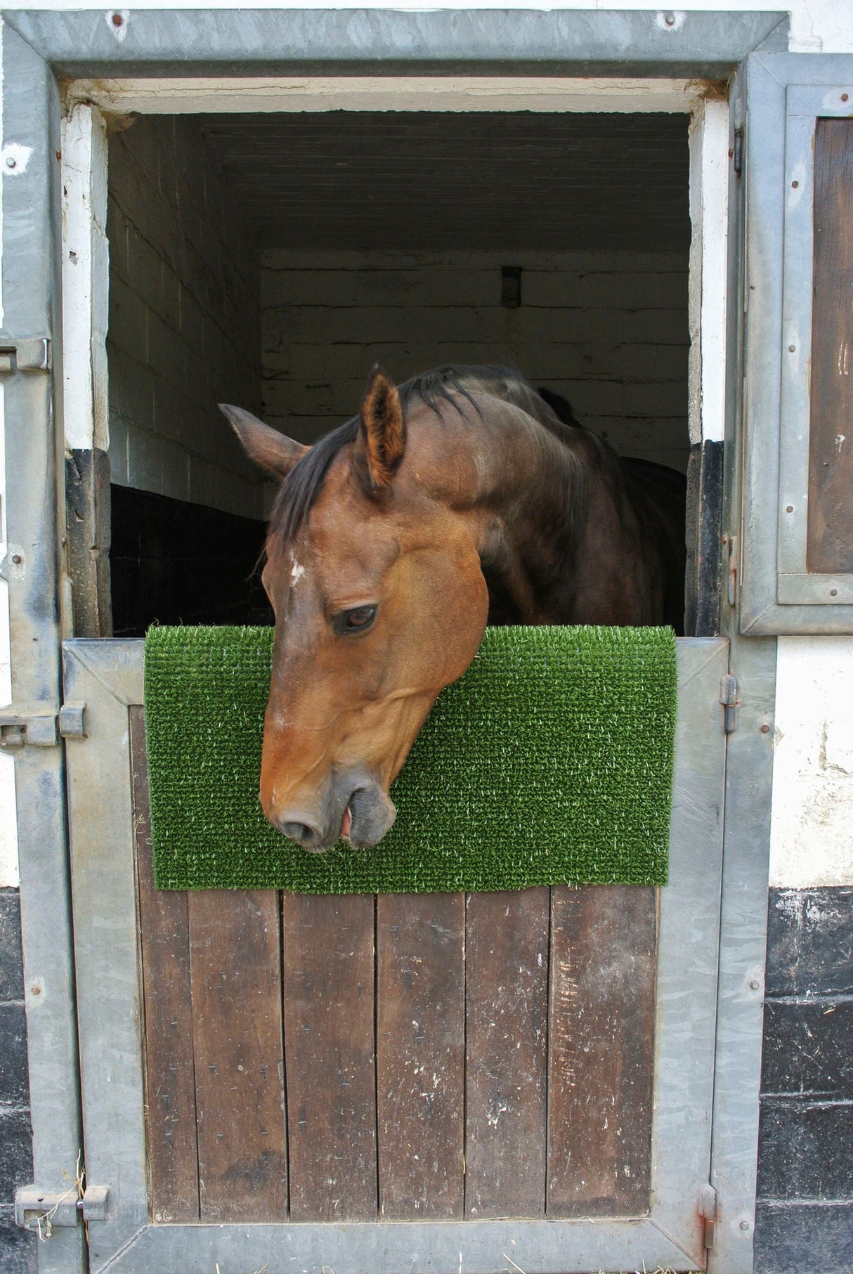 Kerbl Kratz- und Reinigungsmatte KratzPad 40x60 cm 3282838