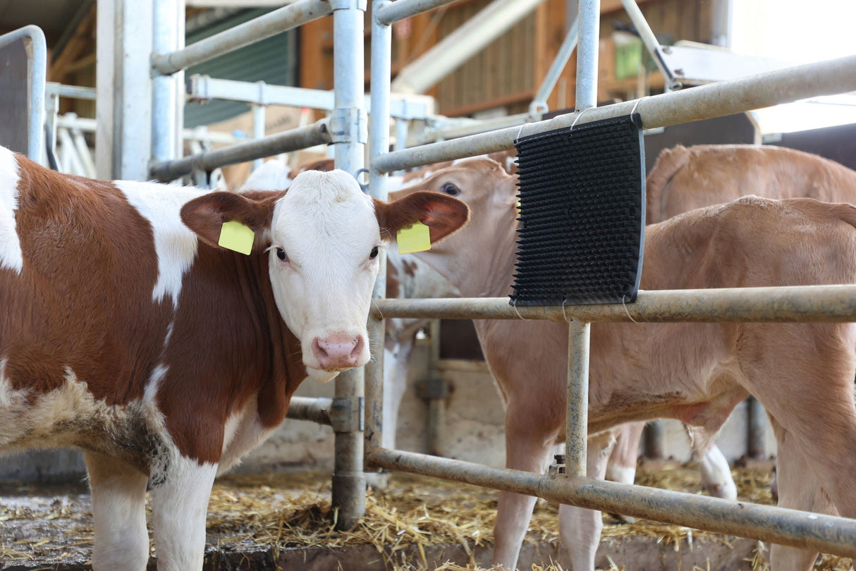 Kerbl Kratzmatte 30x40cm für Säulen- oder Wandmontage 1 Stück 32678