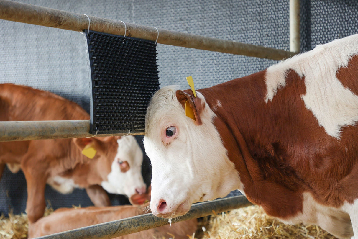 Kerbl Kratzmatte 30x40cm für Säulen- oder Wandmontage 1 Stück 32678