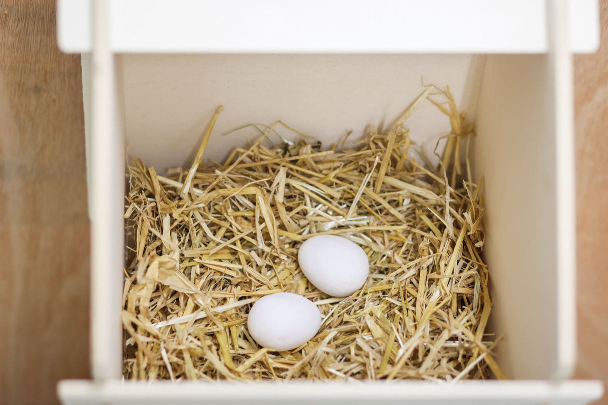 Kerbl Nesteier aus Ton für Hühner (2 Eier pro Blister) 73004/2