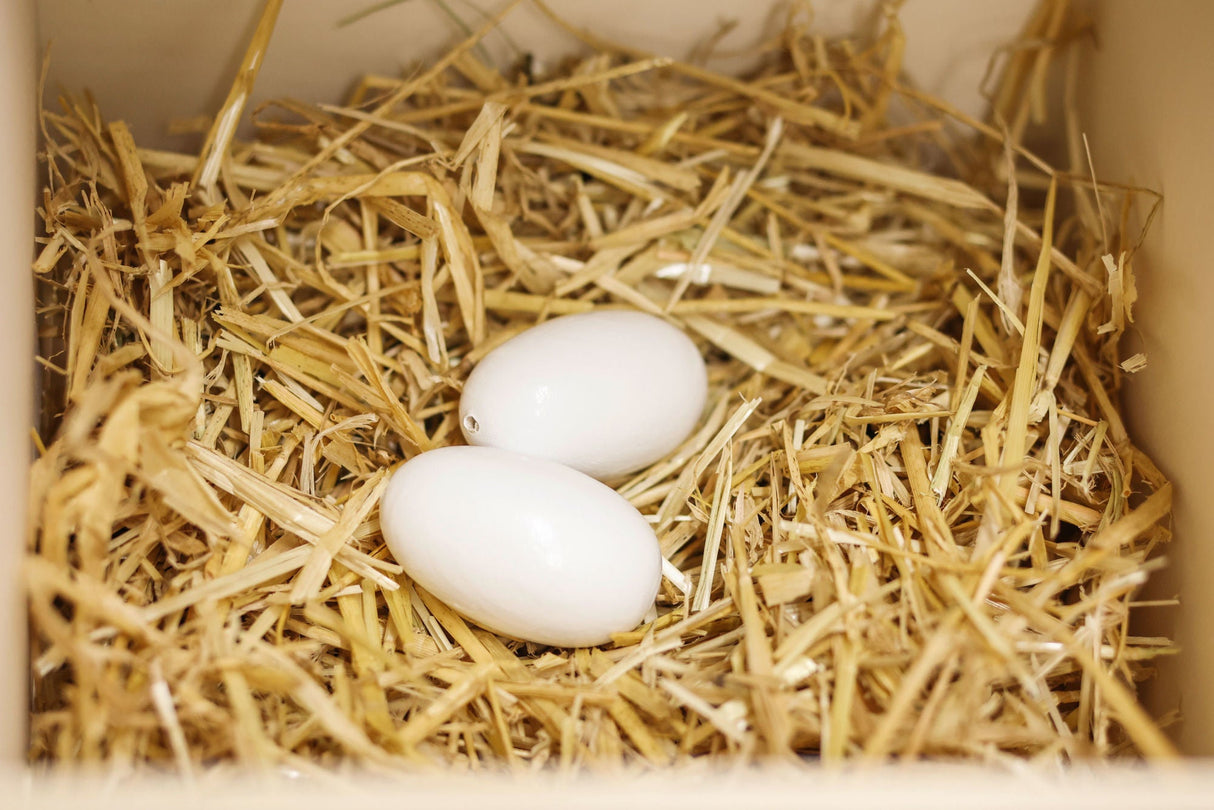 Kerbl Nesteier aus Holz für Hühner 2 Stück im Pack 73002/2