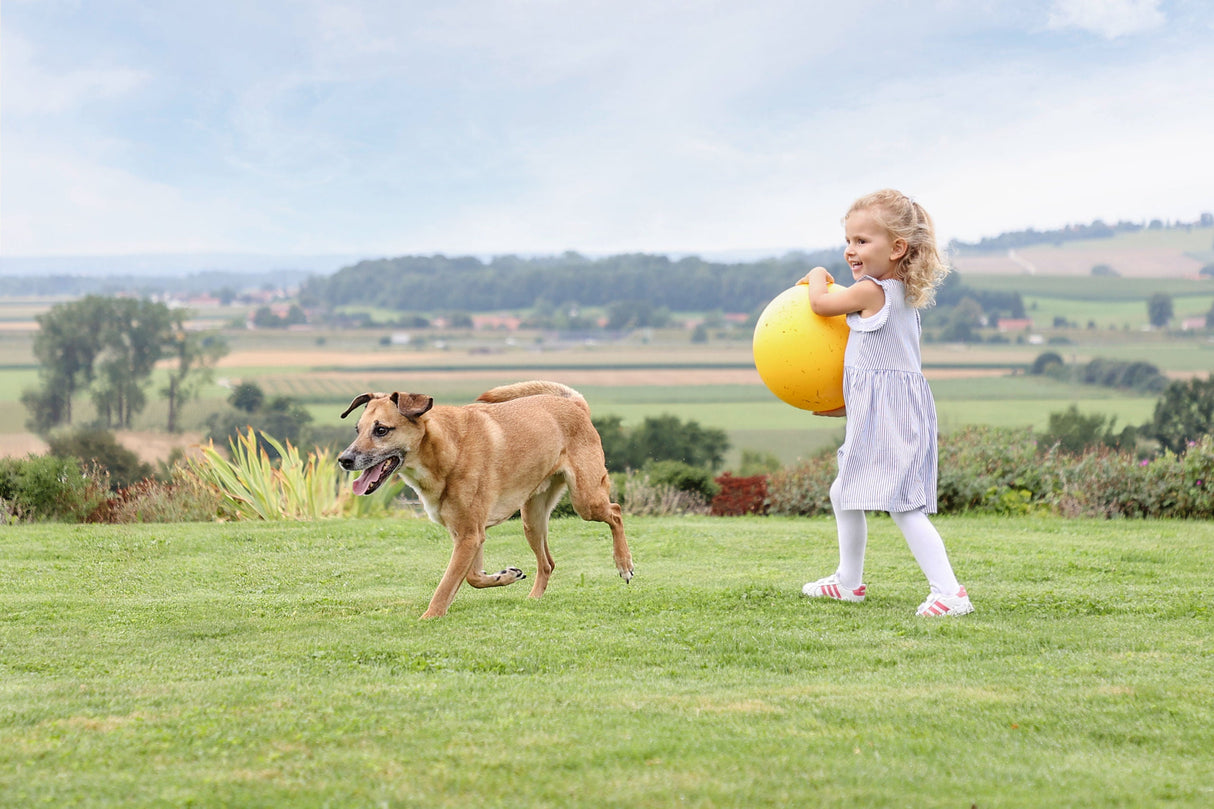 Kerbl Artikel 82274 im Online Shop kaufen