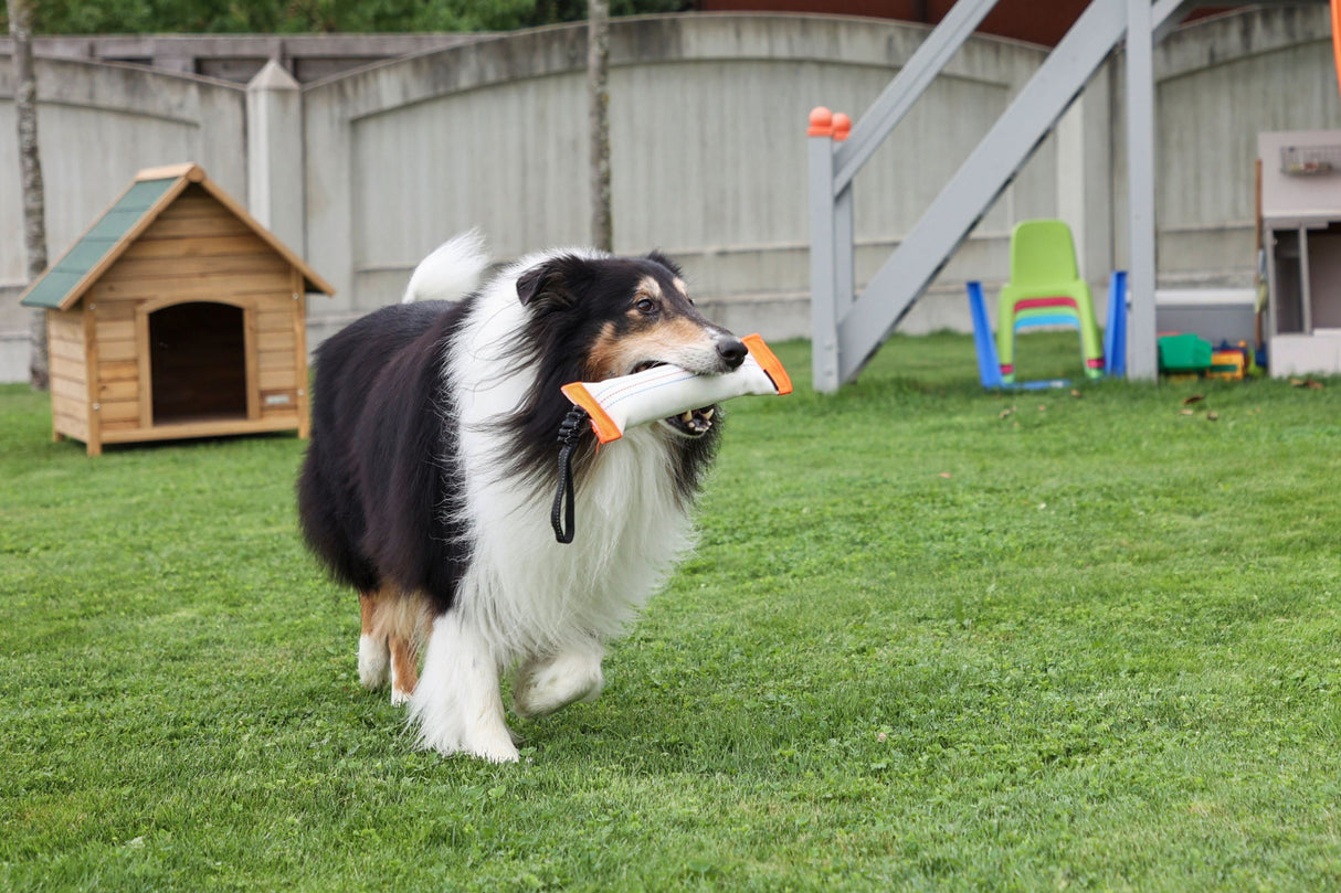 Kerbl Artikel 80774 im Online Shop kaufen