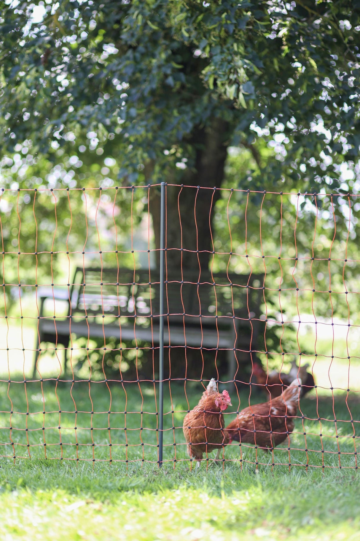 Kerbl Ersatzpfahl grau PA 106cm - Doppelspitze - 292401