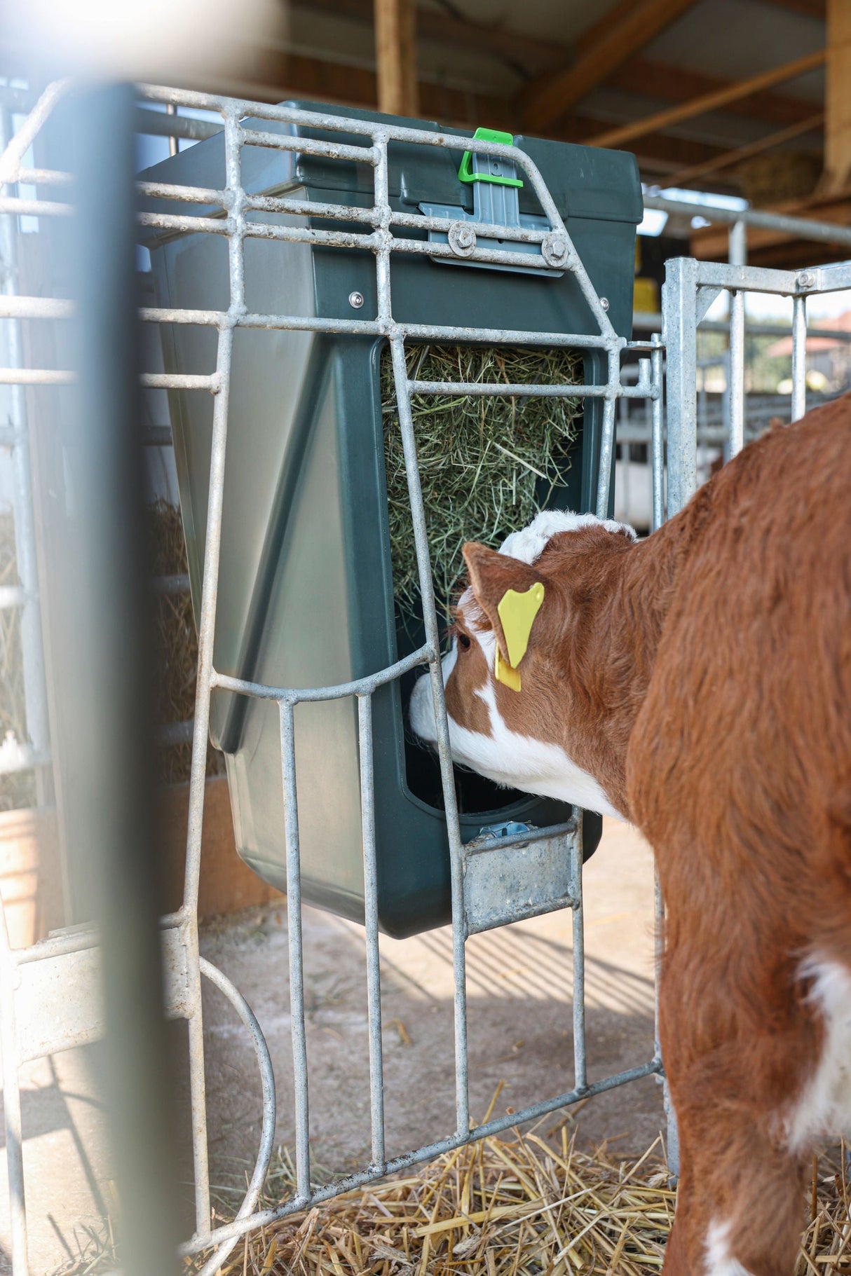 Kerbl Artikel 144355 im Online Shop kaufen