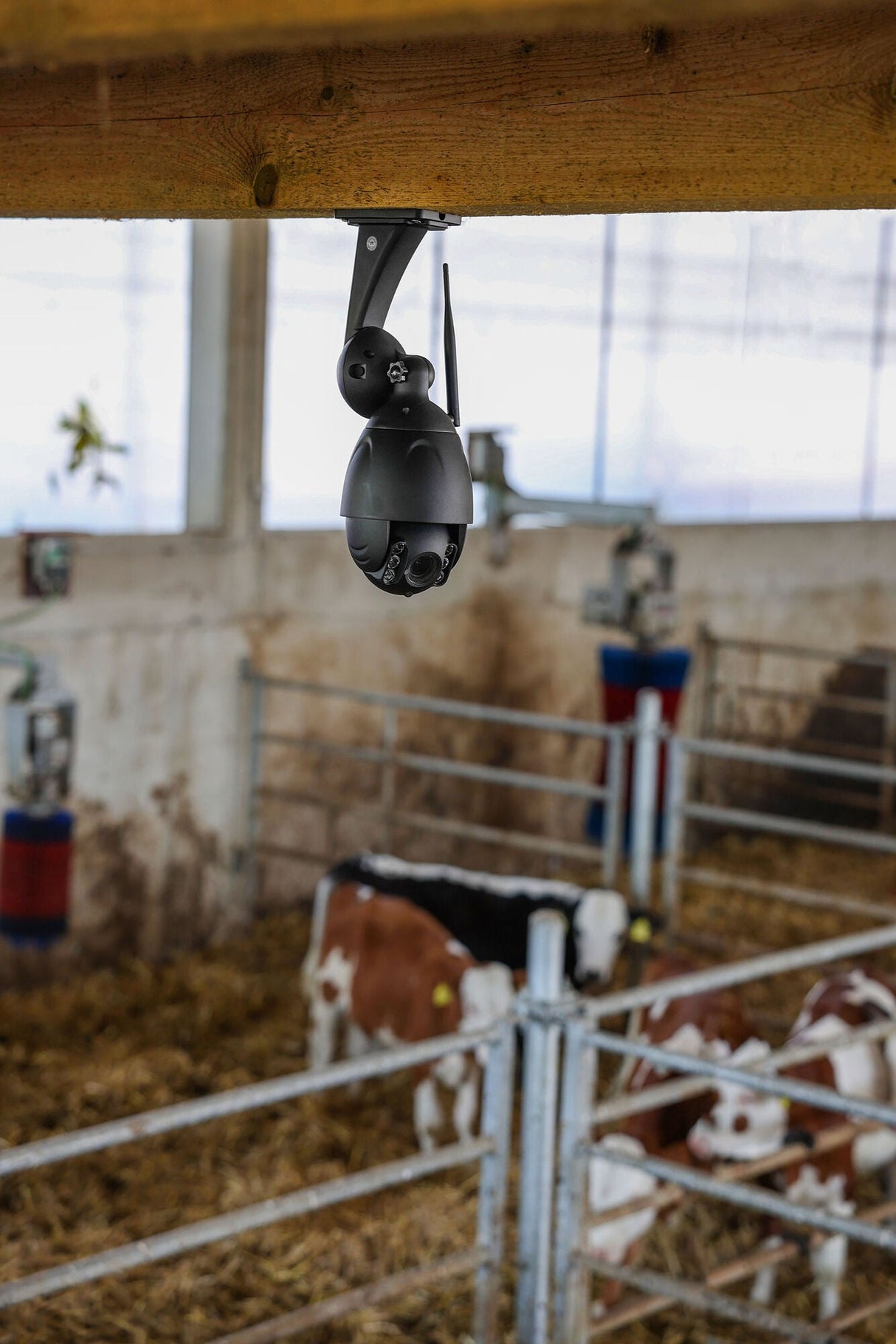 Kerbl IPCam 360 FHD mit opt. Zoom 1 Stück 10809