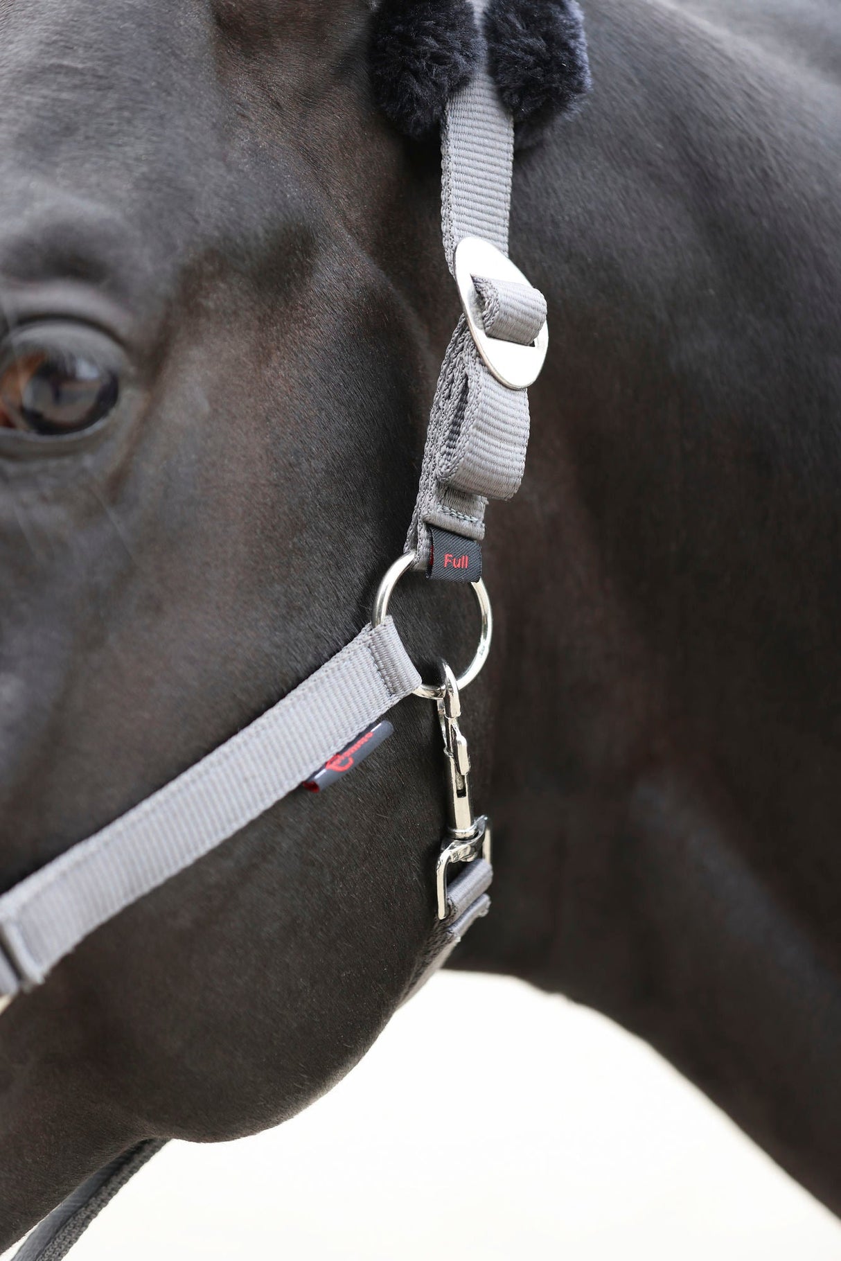 Kerbl Halfter ClassicSoft stone, Gr. Shetty 3224758