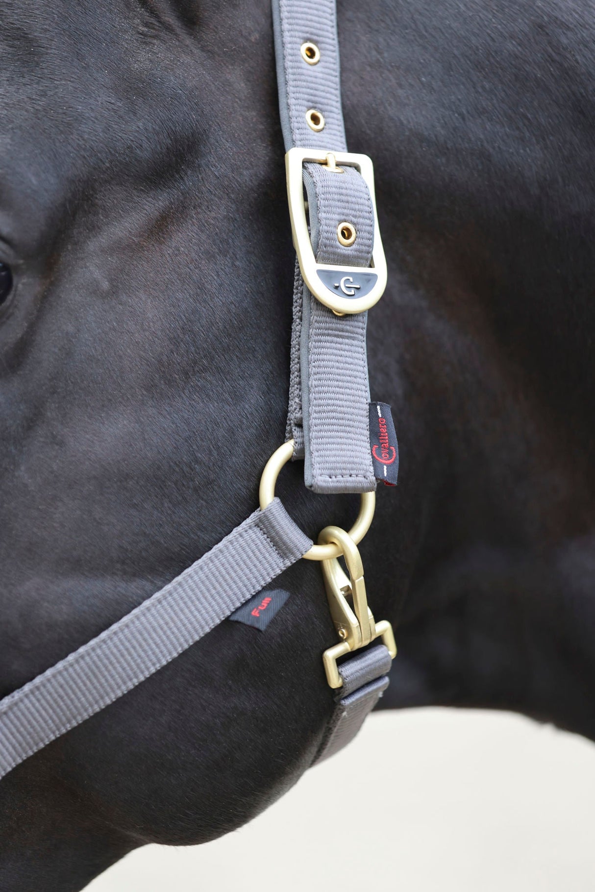 Kerbl Halfter Classy, stone Gr. Shetty 3224733