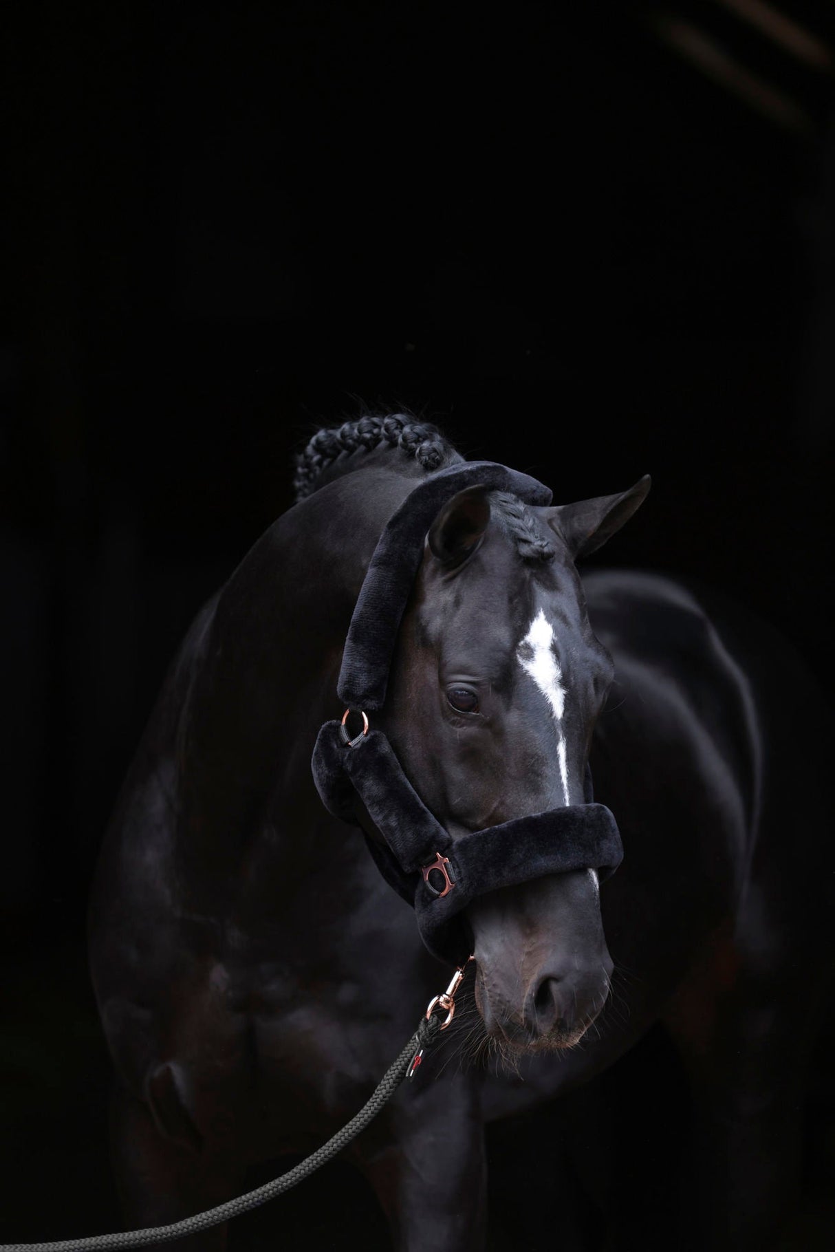 Kerbl Halfter SuperSoft, black, Pony 3224638