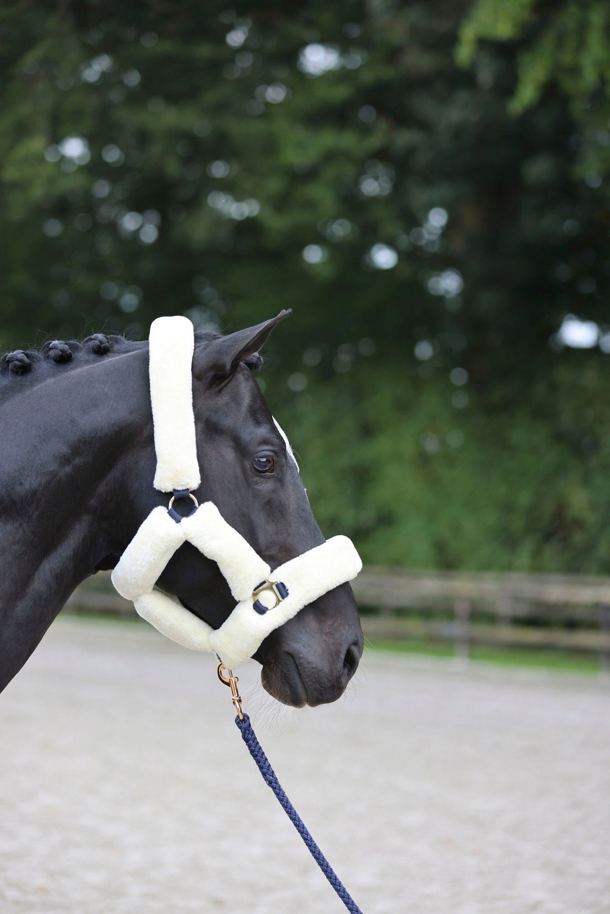 Kerbl Halfter SuperSoft, navy, Pony 3224641