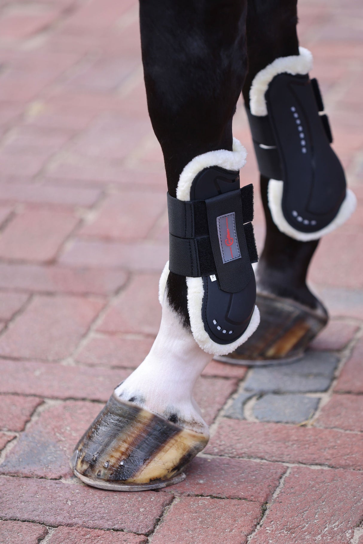 Kerbl Artikel 3224651 im Online Shop kaufen