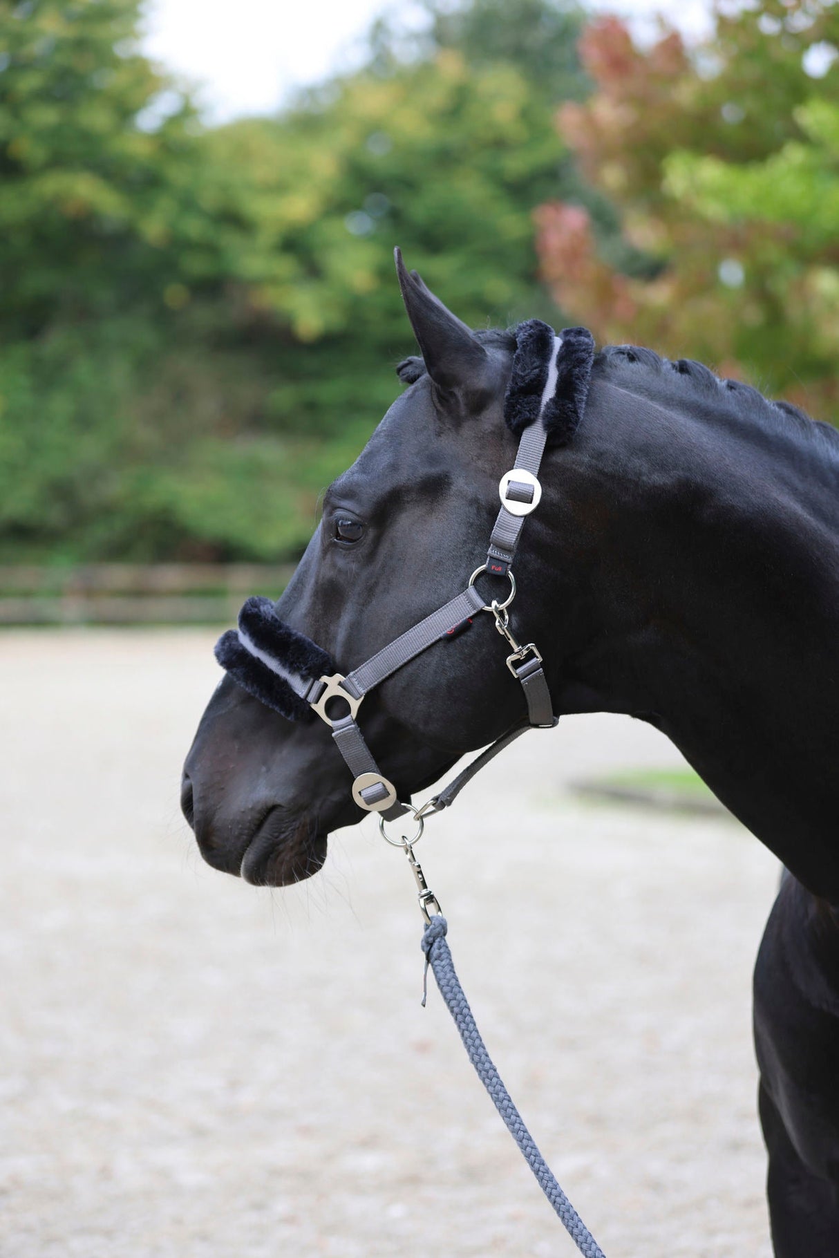 Kerbl Halfter ClassicSoft stone, Gr. Shetty 3224758