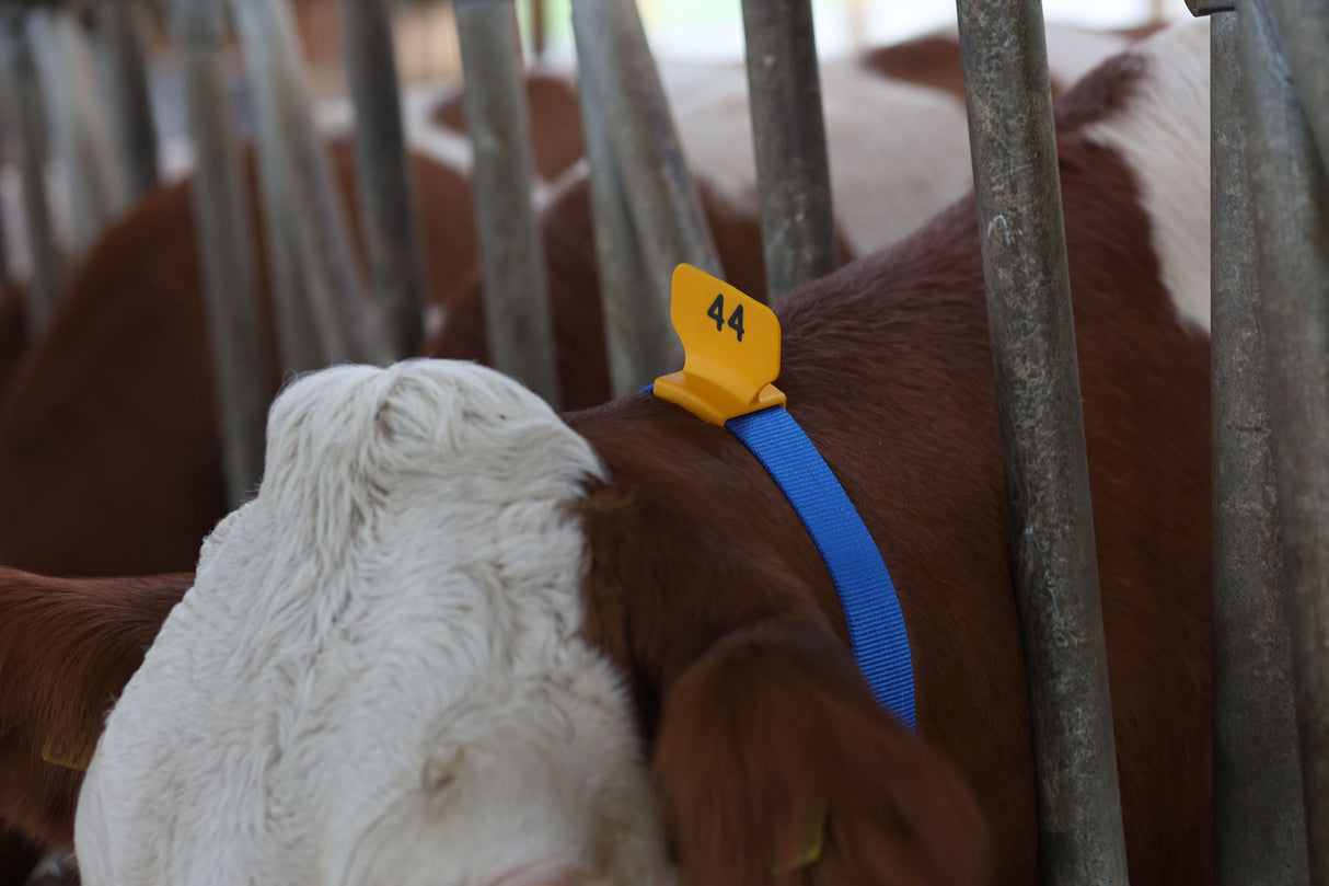 Kerbl Artikel 208430 im Online Shop kaufen