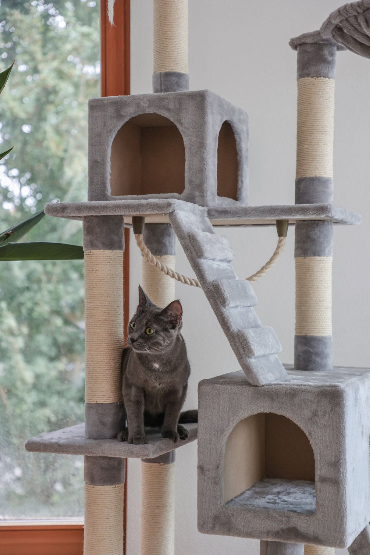 Kerbl Artikel 81566 im Online Shop kaufen