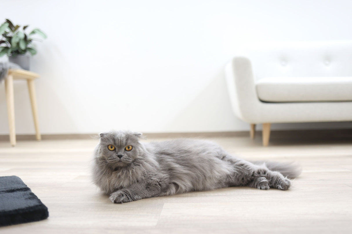 Kerbl Artikel 81594 im Online Shop kaufen