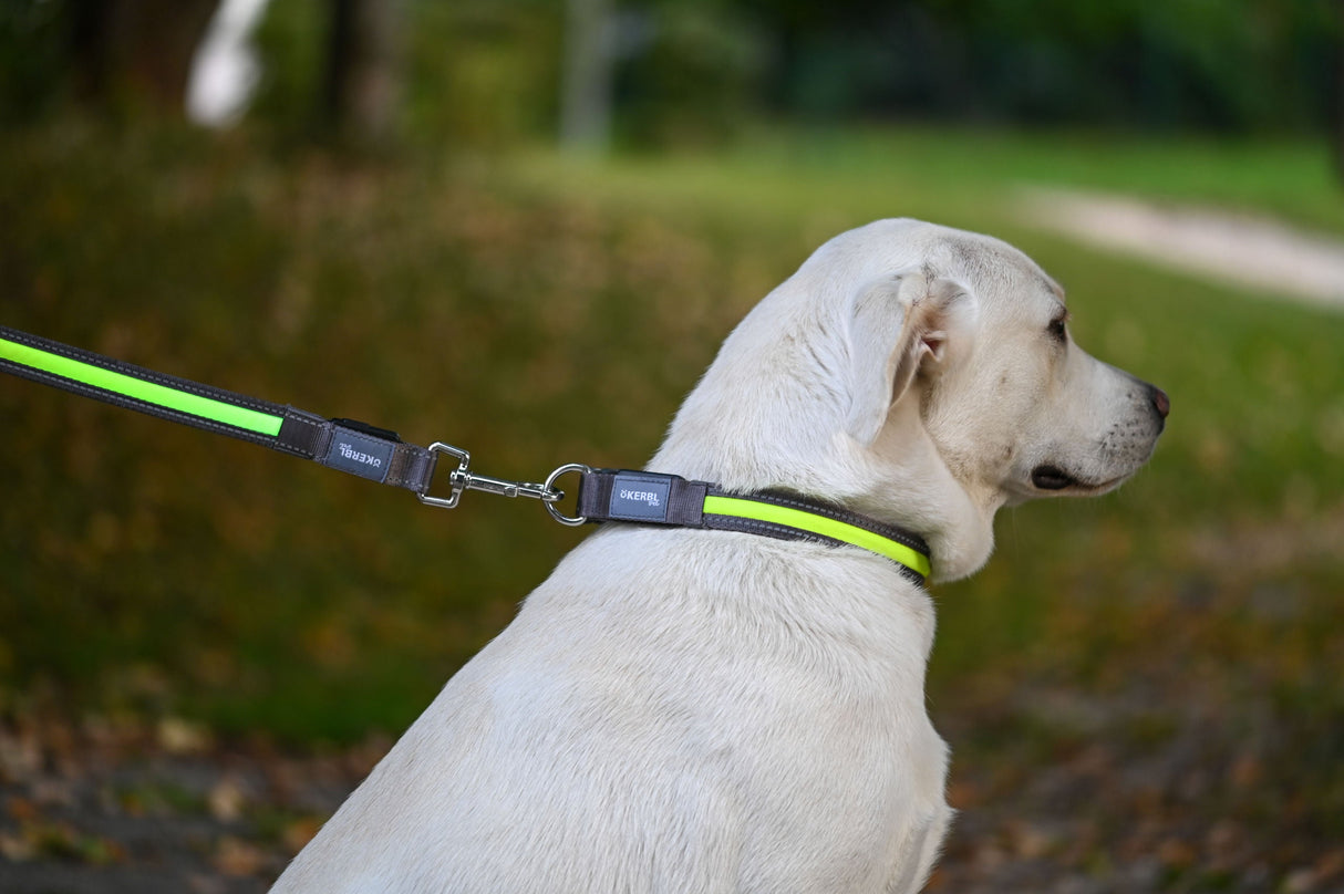 Kerbl Artikel 80027 im Online Shop kaufen