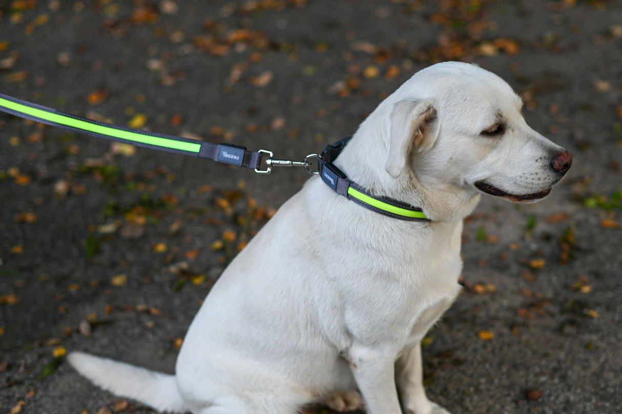 Kerbl Artikel 80027 im Online Shop kaufen