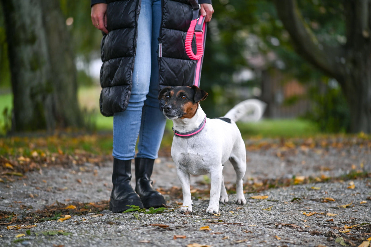 Kerbl Artikel 80028 im Online Shop kaufen