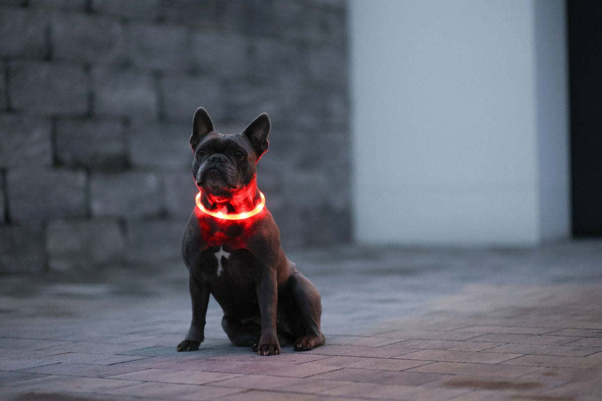 Kerbl Artikel 81191 im Online Shop kaufen