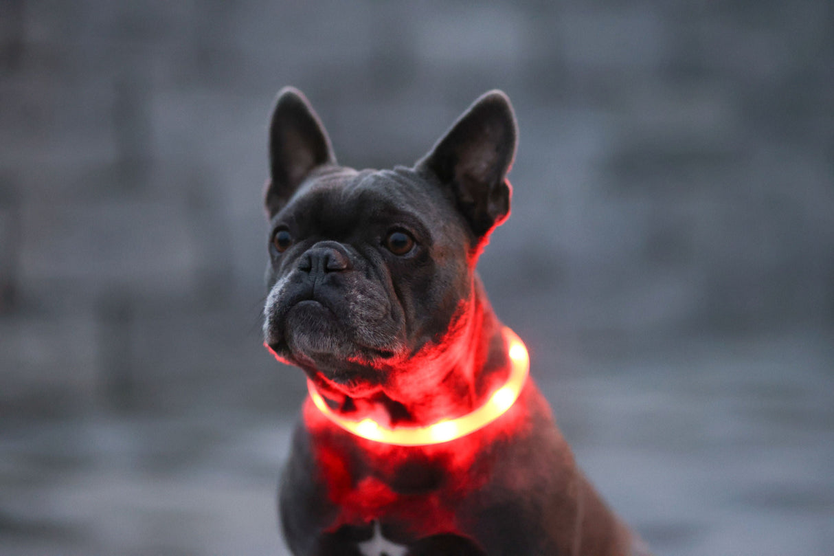 Kerbl Artikel 81191 im Online Shop kaufen