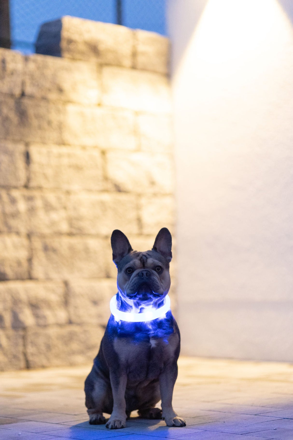 Kerbl Artikel 80259 im Online Shop kaufen