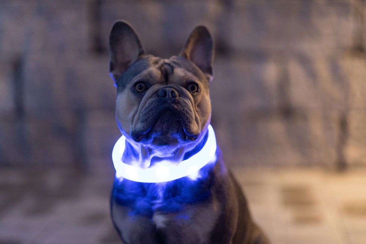 Kerbl Artikel 80259 im Online Shop kaufen