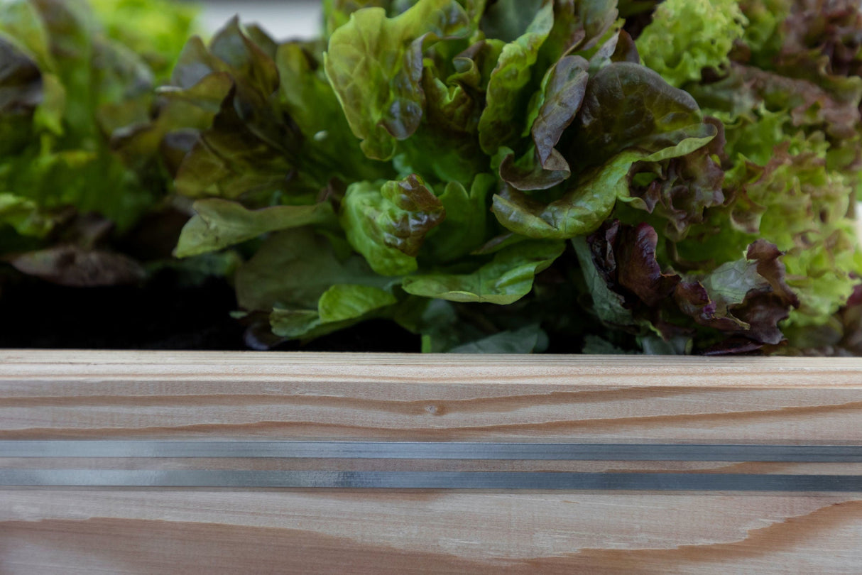 Kerbl Zaunband 20 m für SnailStop Elektrischer Schneckenzaun 291129