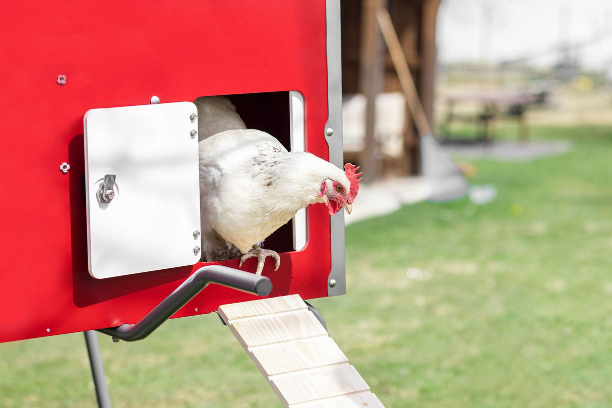 Kerbl Mobile Coop Hühnerhaus aus Holz für SmartCoop 113x92x138cm, 3 Kartons - 81738